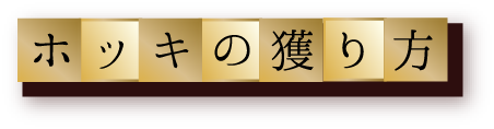 ホッキの捕り方